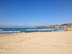 IMG_0313
